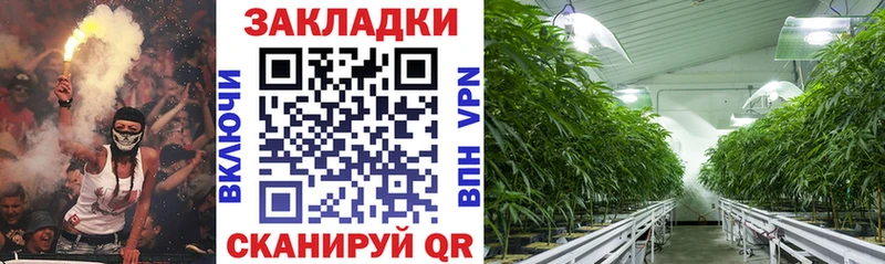 Как найти наркотики Олонец АМФ COCAIN Метадон Марихуана ГАШ