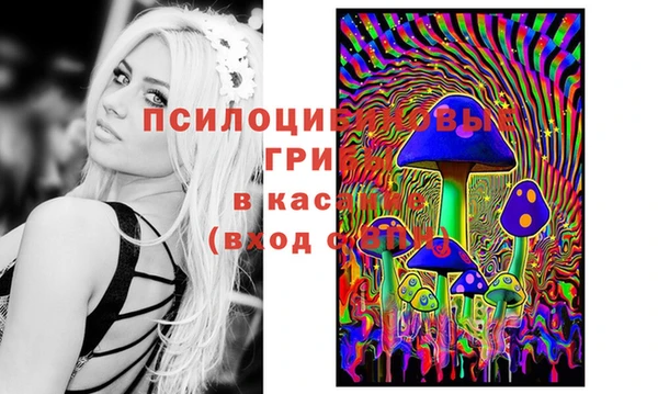 соль курить ск Алексеевка