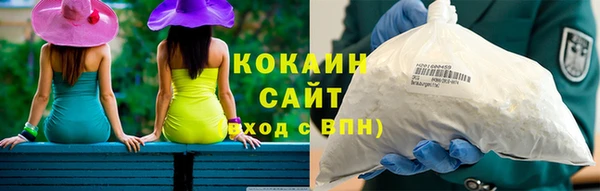 мет Алексин