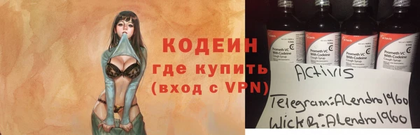 мет Алексин