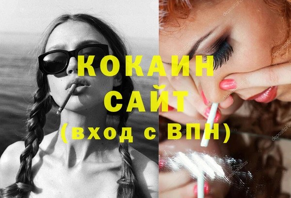 соль ск Алзамай
