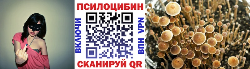 площадка официальный сайт  Олонец  Галлюциногенные грибы MAGIC MUSHROOMS  мега как зайти 